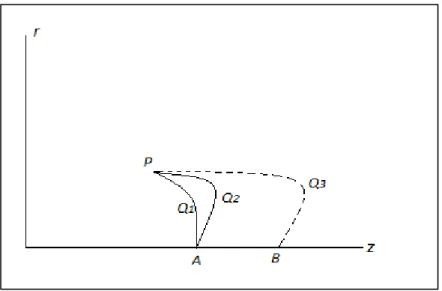 Figure 2.3. Courbes dans le plan méridien