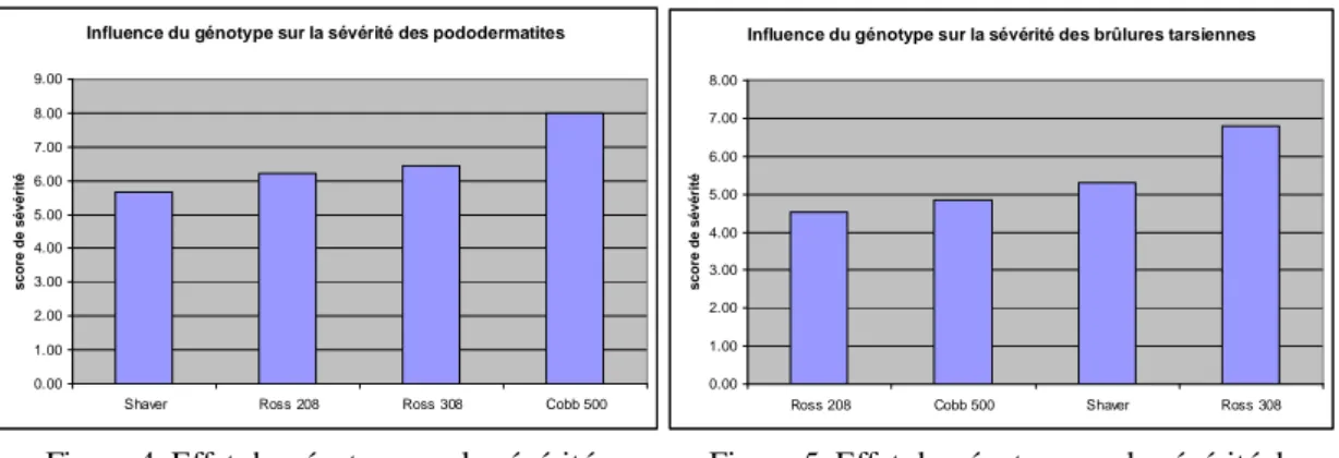 Tableau 1. Héritabilité et corrélation génétique des pododermatites. 