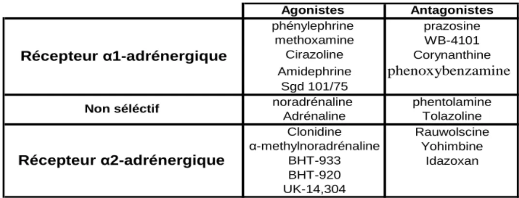 Tableau 1  Agonistes et antagonistes communément utilisés pour la classification des  récepteurs α1 et α2-adrénergiques (D’après Ruffolo et al., 1991).