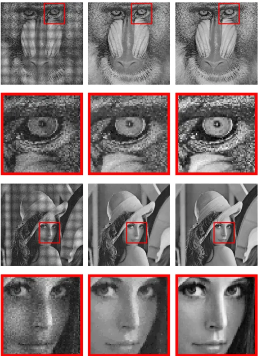 Figure 8. Reconstruction of the images baboon (rst and sec- sec-ond rows) and lena (third and fourth rows) with a noise level σ = 0.05 