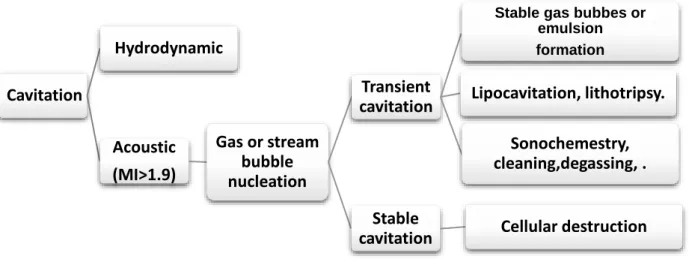 Figure 2: Acoustic cavitation phenomena under low frequency ultrasounds. 