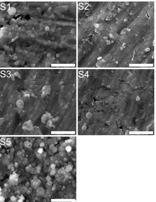 Fig. 2. SEM micrographs recorded in various regions of the CHT-BmAp coating obtained by C-MAPLE (magniﬁcation bar = 4 m m).