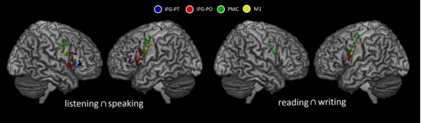 Figure  6.  Individual  centers  of  gravity  (COG)  related  to  common  motor  activity  in  the  listening ∩ speaking  and  in  the  reading ∩ writing conjunctions within the pars triangularis (BA45, IFG-PT) and pars opercularis (BA44, IFG-PO) of the in