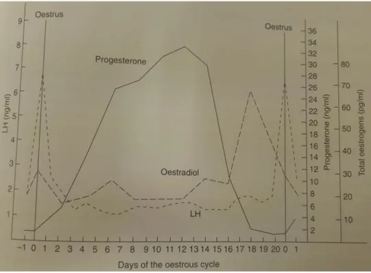 Figure 2 : Profil des principales hormones de reproduction au cours du cycle œstrien du porc (Kyriazakis  and Whittemore, 2006) 