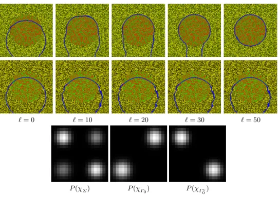 Fig. 3. Top row: evolution of the segmentation, with ℓ indexing the iterations, for |Θ| = 8 directions