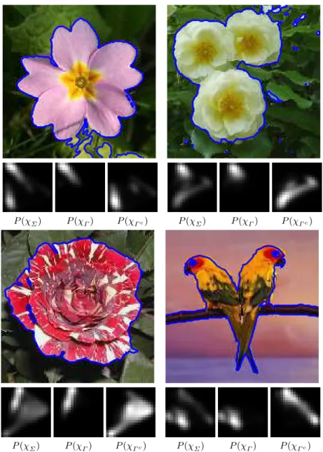 Fig. 4. Left: example of natural image segmentation. Below each image is displayed the 2- 2-D histogram of the image (in the space of the two dominant color eigenvectors as provided by a PCA) for the whole domain Σ (which is P (χ Σ )) and over the inside a