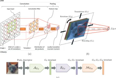 Figure 1. (a) A single convolution-pooling operation from a CNN schematized for a single input layer and single output neuron