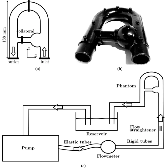 FIGURE 1 (a) Flow phantom schematic representation in the coronal plane annotated with locations of surfaces of interest.