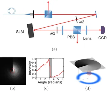 FIG. 1. SLM setup and generated intensity pattern: (a) Op- Op-tical setup for an SLM used in the mask mode
