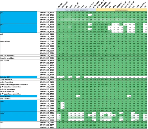 Figure 2. Adhesion and host-interacting features of B. bifidum CNCM I-4319. Heatmap showing the  distribution of B