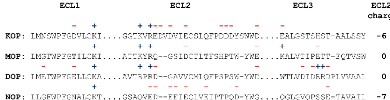 Figure 2: Primary sequences of the extracellular loops of the opioid receptor subtypes, KOP, MOP, DOP  and NOP showing that the extracellular loop 2 (ECL2) is particularly rich in negative charges in KOP and  NOP, while it is neutral for MOP and DOP