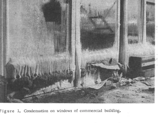 Figure  2.  Efflorescence  due  to  high  humidities  during  construction.