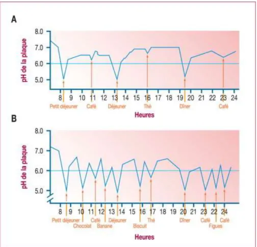 Figure 7 : effet de la fréquence des prises alimentaires sur la valeur du pH de la  plaque au cours d’une journ  e 