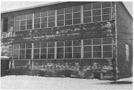 Figure  2.  Efflorescence at  the  top  of  a  wall.