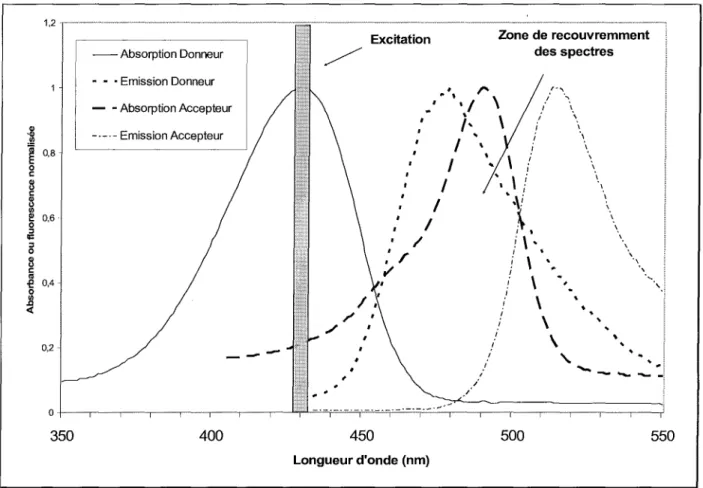 Figure 24 : Exemple de recouvrement de spectres