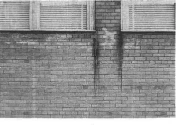 Figure  2.  Damage to  rnassrrryr  at  window sills  as  a result  of  excess rrpistuse from  condensation associated with  air  leakage.