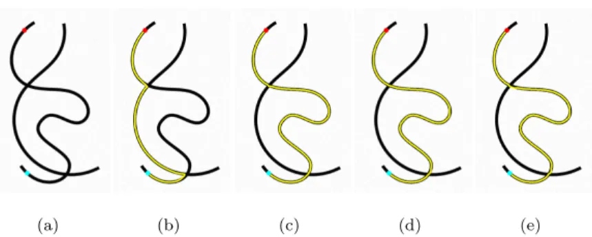 Figure 8: The minimal paths on synthetic images. (a) The origial images with prescribed points