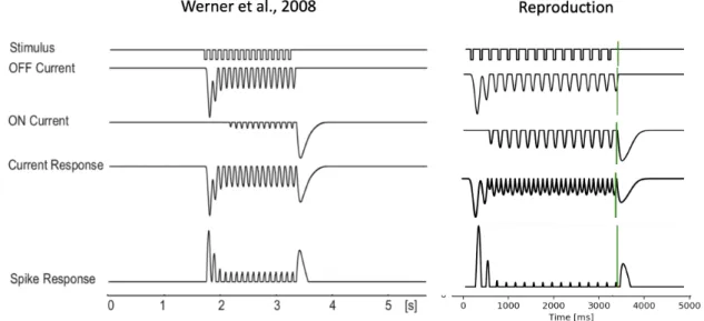 Figure 5 shows the simulated responses in the ON and OFF pathway for the model of Werner  et  al.,  obtained  after  linear  filtering  and  rectification  (ON  and  OFF  Current),  the  combined  current from both pathways  (Current Response) and the resu