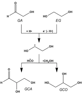 Figure 1. GCA and GCO formation pathways adapted from (Fedoseev et al.