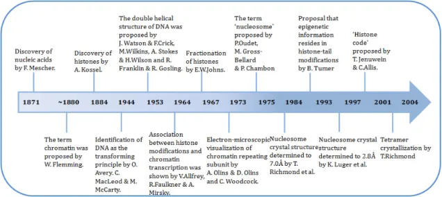 Figure 1: Diagram represent major discoveries in the history of chromatin studies. Image modified  from[7]