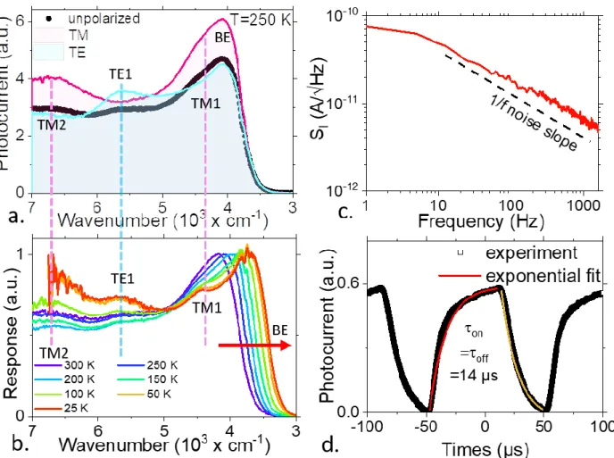 Figure 5 Detection properties of the GMR electrodes. a. Experimental photocurrent spectra in  TM, TE and for unpolarized light at 250 K