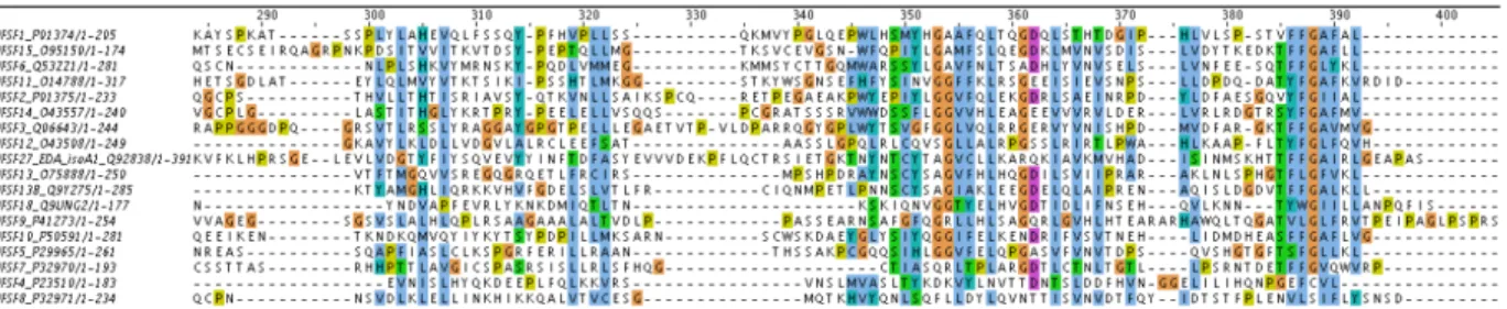 Figure 1: Alignment of sequences from the family of tumor necrosis factors, performed with ClustalW, reprinted from [Kerbellec, 2008]