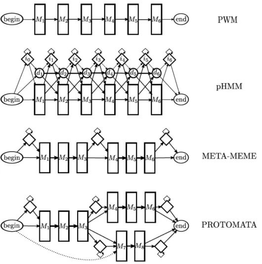 Figure 2: PSSM (PWM), pHMM, Meta-MEME and Protomata types of architecture, reprinted from [Coste, 2016]