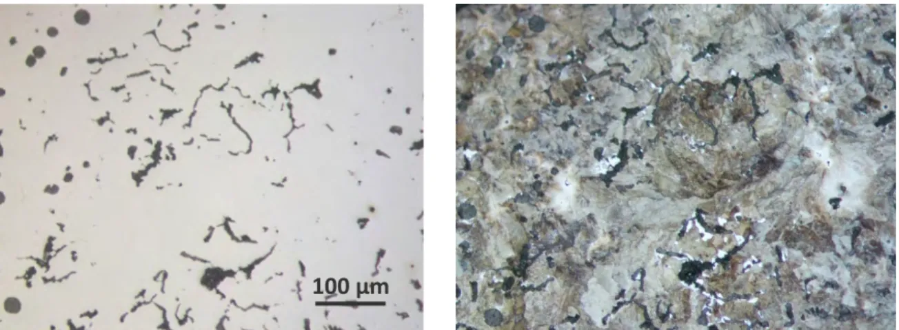 Figure 1 –  Micrograph s of the as-cast microstructure before (left) and after (right) Nital etching