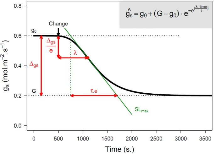 Figure 1 : Relations entre le potentiel hydrique et la teneur relative en eau chez le chêne (vert) et le peuplier  (bleu)