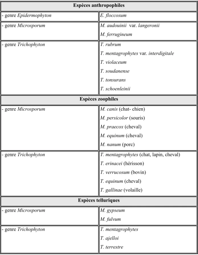 Tableau V : Classification des dermatophytes selon leur habitat [6]. 