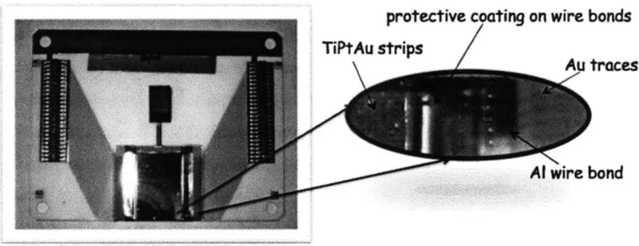 Figure  4-2:  Photograph  of  typical  diamond  strip  detector.  Taken  from  Hall  C  Po- Po-larimetry  Wiki  [8].