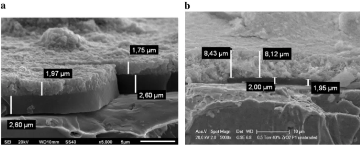 Fig. 2. (a) SEM image of the C1 architectured system and (b) ESEM image of the C2 architectured systems before abrasion cycles.