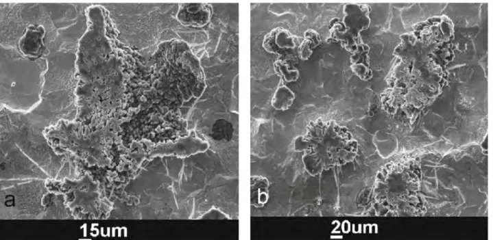 Figure 8: Graphite precipitates appearing as "porous" graphite in 2D section but seen to be quite  coarse precipitates after deep etching (a) and cluster of graphite precipitates ranging between 