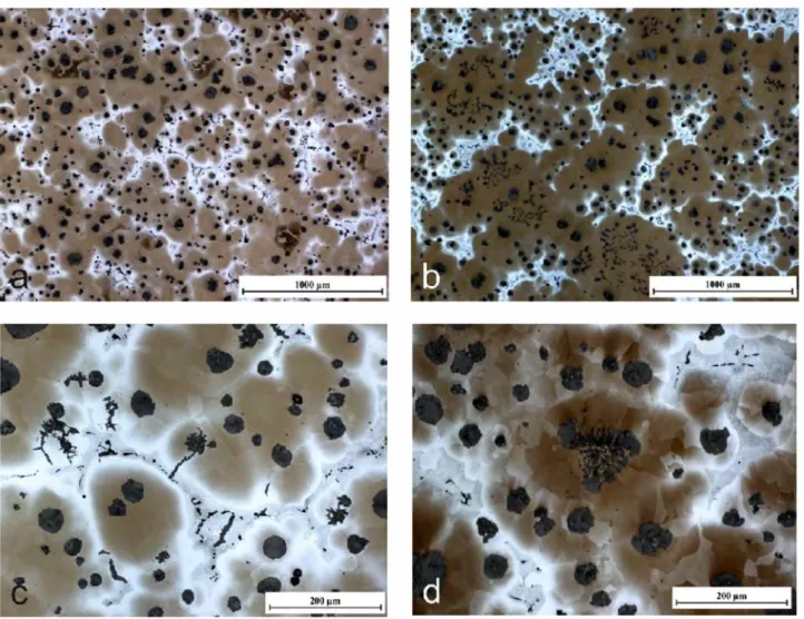 Figure 3: NaOH+Cr03 etched micrographs of the samples SG-Pb (a and c) and SG-PbCe (b and d)