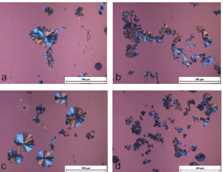 Figure 4: Graphite morphology under polarized light of sample SG-Pb (a and c) and sample SG­