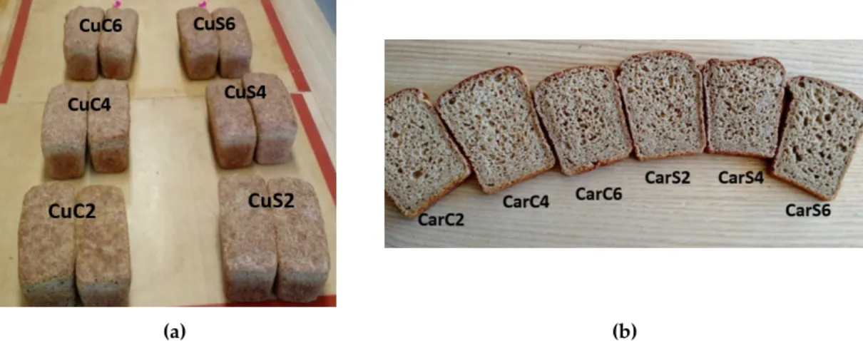 Figure 1. Bread fortified with cumin (a) and caraway (b) seeds and by-products.CuC2: 2% of cumin cake; CuC4:4% of cumin cake; CuC6: 6% of cumin cake; CuS2: 2% of cumin seed powder; CuS4: 4%
