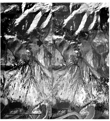 Figure  2.  Stereo pair  of  willow  fan  situated  between  Mac-  kenzie  Delta  (bottom  of  photographs)  and  Richardson  Mountains (top of photographs)