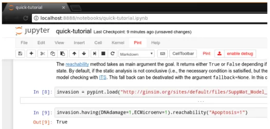 Fig. 3: Screen capture of Jupyter web interface running pypint in a notebook.