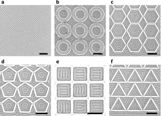 Figure  2.1  SEM  images  of  untemplated  and  templated  block  copolymer  patterns