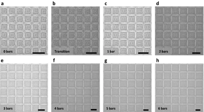 Figure 2.3 SEM images of ladder-shaped block copolymer patterns inside square confinement