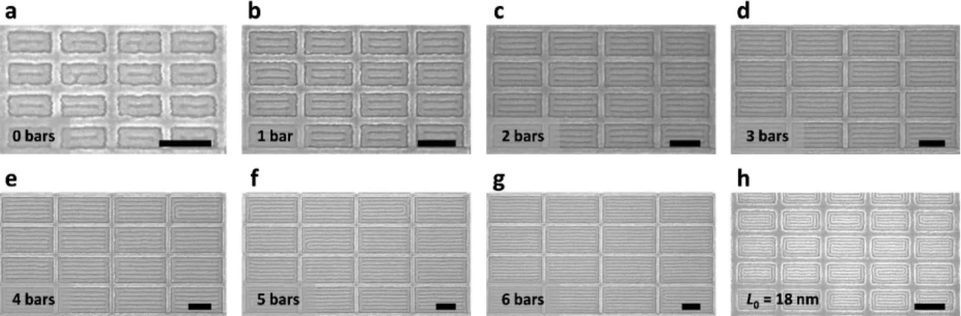 Figure  2.5  SEM  images  of  aligned  ladder-shaped  block  copolymer  patterns  inside  rectangular  confinement