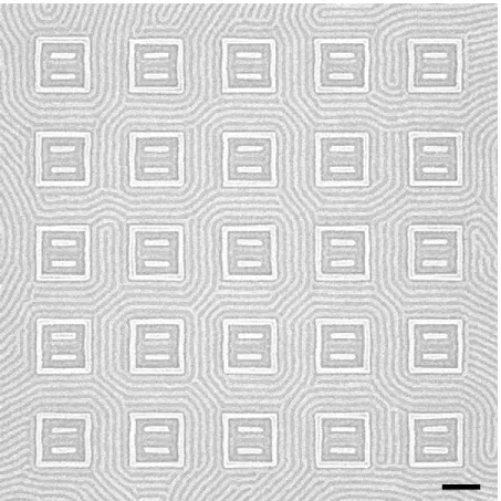 Figure  2.9  SEM  image  of  aligned  ladder-shaped  block  copolymer  patterns  inside  square  confinement  with  horizontal  guiding  patterns