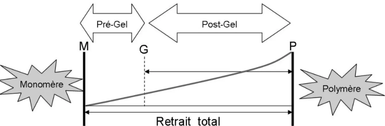 Figure 14 : illustration du point gel au cours de la polymérisation. 