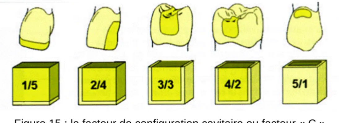 Figure 15 : le facteur de configuration cavitaire ou facteur « C » 