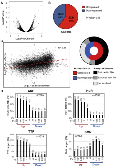 Figure 5. RNA-Seq Analysis of Transcrip- Transcrip-tome Changes following Pat1b Knockdown in HEK293 Cells