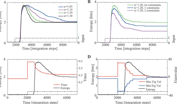 Figure 3. Spontaneous increase followed by reduction of state entropy during the expansion phase