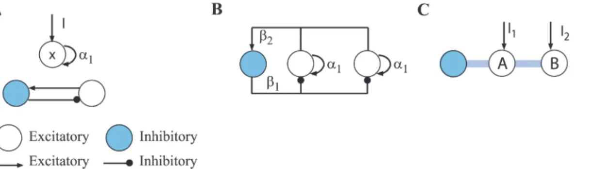 Figure 1. Circuit motifs and simple circuit composed of motifs. (A) Circuit motifs are excitatory self-recurrence (top) and shared inhibition (bottom)