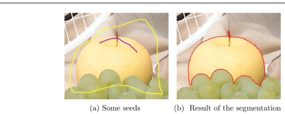 Figure 1: From [14], an example of segmentation in Figure 1(b) with the power-watershed watershed framework, by computing the Γ-limit of (3) when q = 2, using the seeds shown in Figure 1(a)