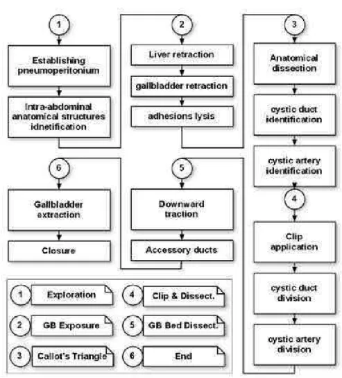 Fig. 1. Standard laparoscopic cholecystectomy procedure.