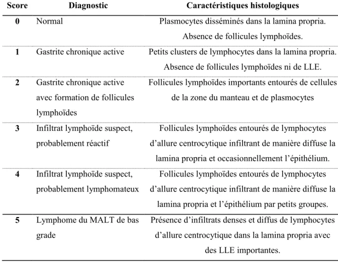 Tableau  2  :  Score  de  Wotherspoon  décrivant  les  critères  histologiques  de  diagnostic de LGM (446) 